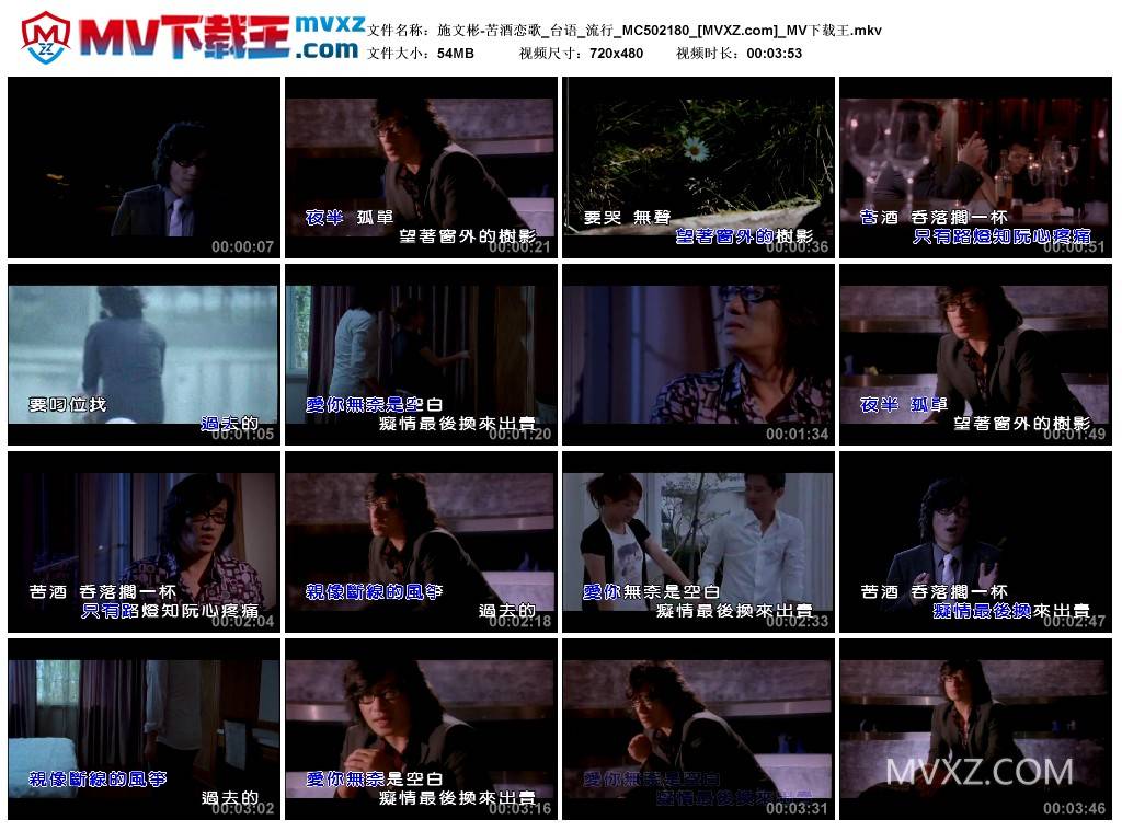 施文彬-苦酒恋歌_台语_流行_MC502180